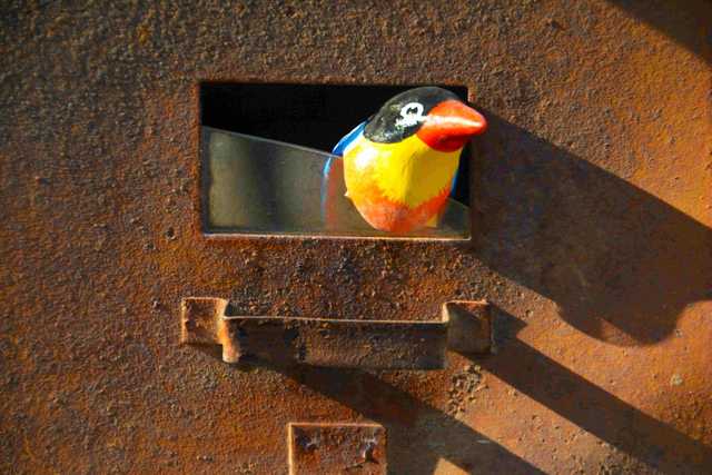 rust bird